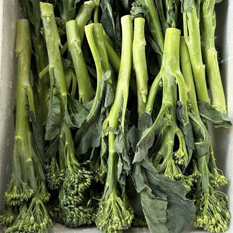 Broccolini Types suppliers