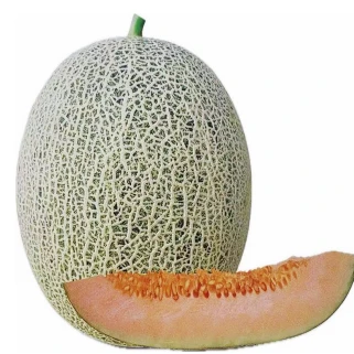 Semillas De Melón Híbrido De Piel Verde Y Pulpa Naranja Roja ME-198